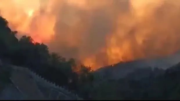 山火SOS，“十八般武艺”的TA们请求出战