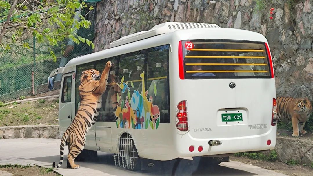 2024年“五一”假期旅游数据出炉，旅游市场呈现新趋势！