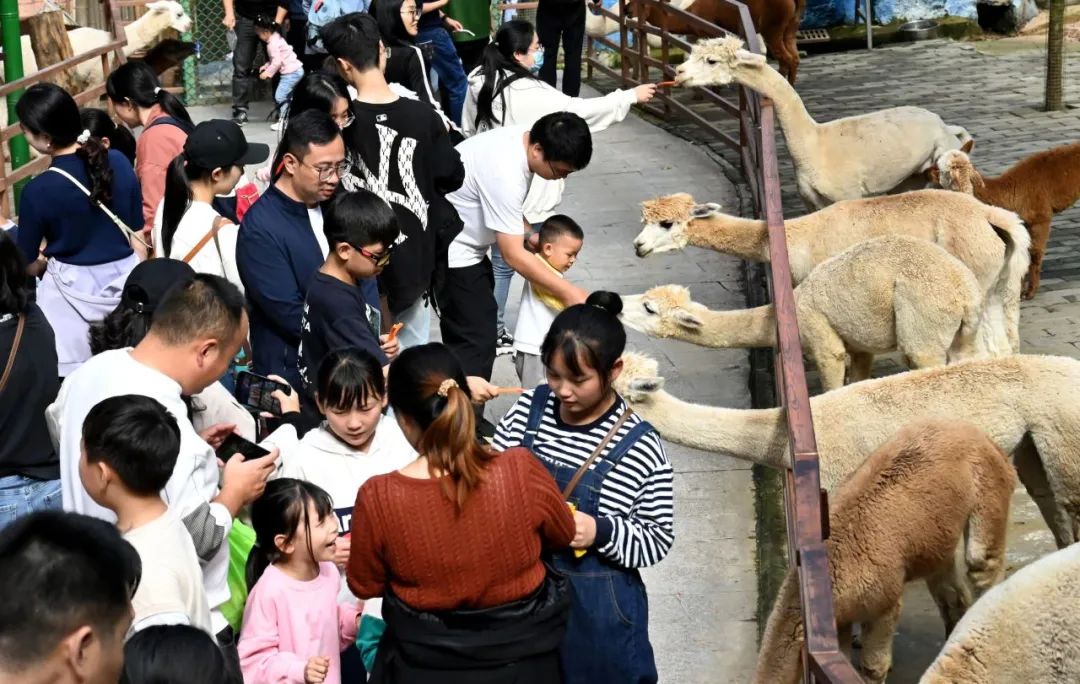 所有郑州人免费了！乐天堂官网观光车带你嗨玩竹海野生动物园！